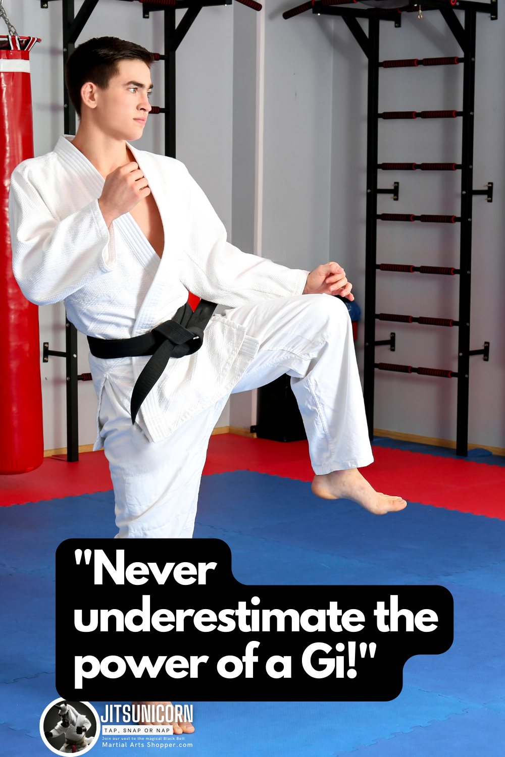 Best 100 motivational and funny Jiu Jitsu Quotes Martial Arts
