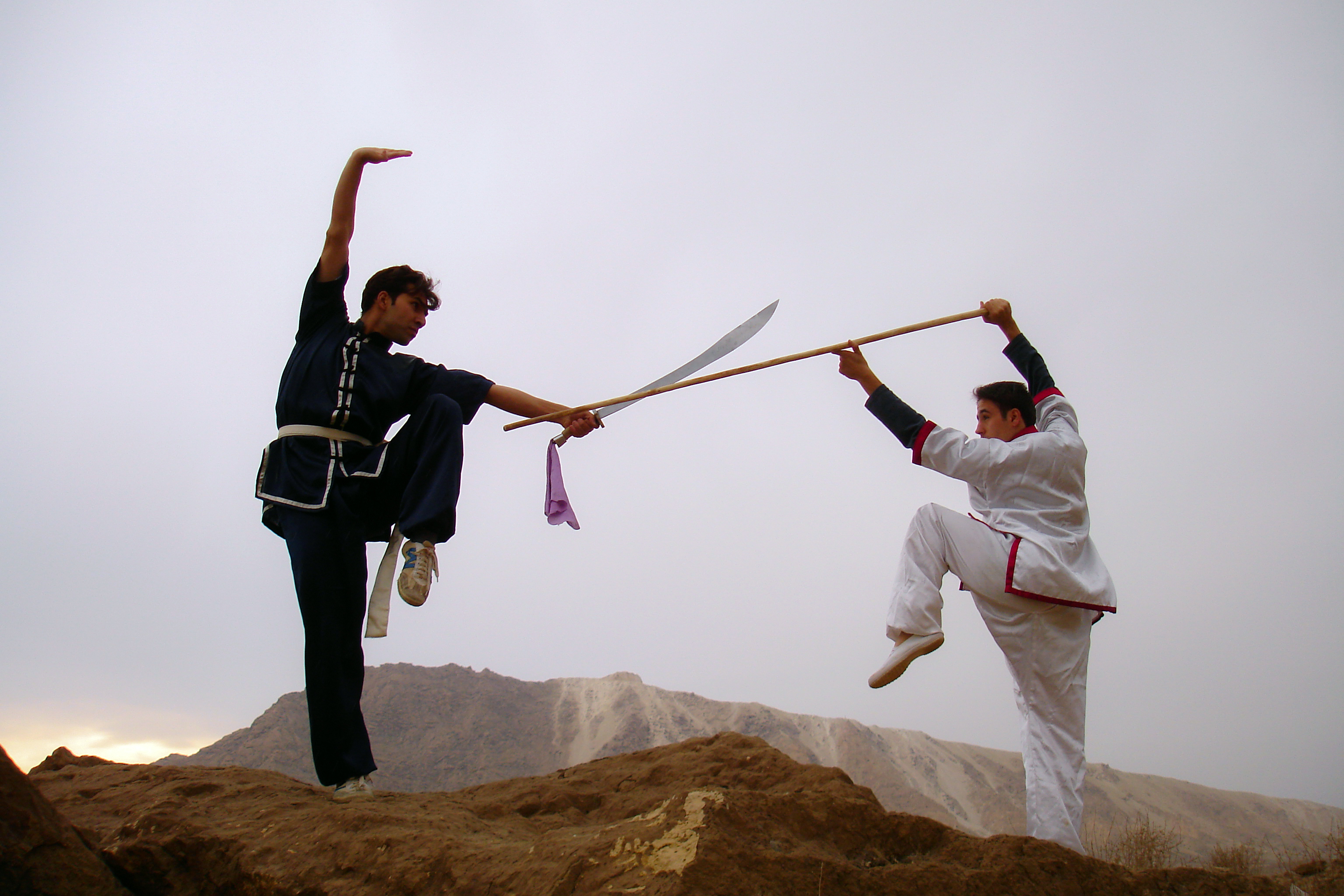 Chinese martial arts - Wikipedia