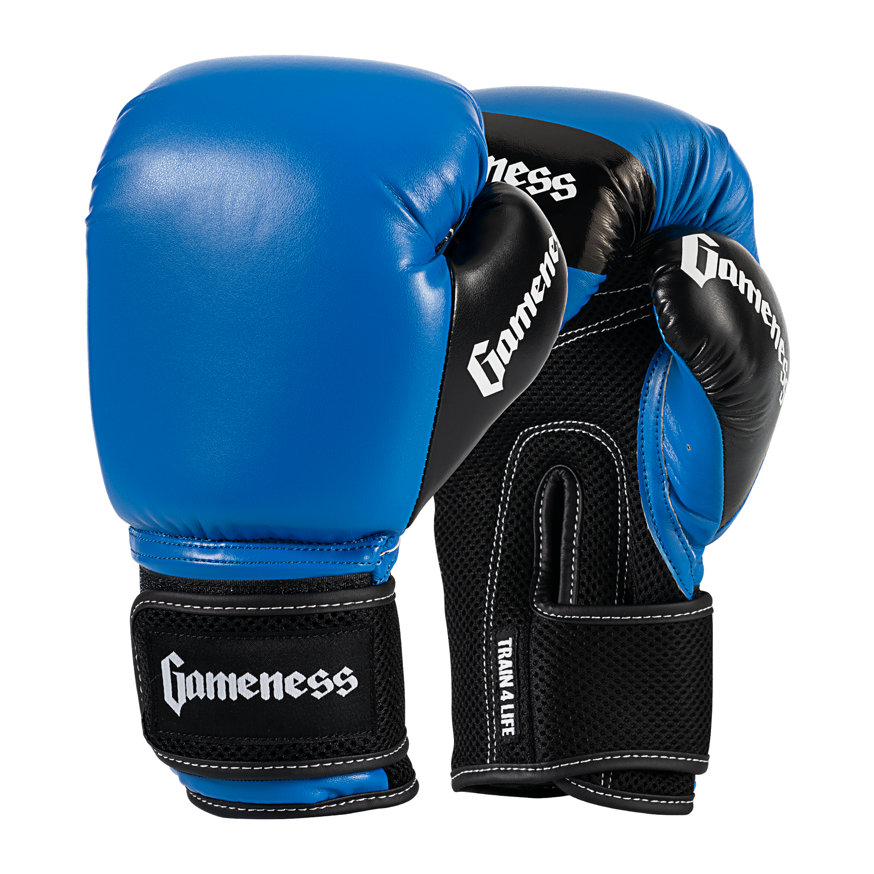 Gameness Boxing Glove