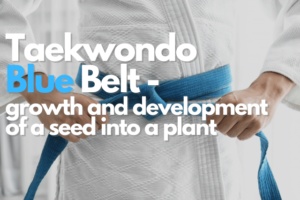 taekwondo blue belt meaning