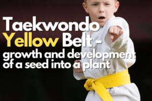 taekwondo yellow belt ranking meaning
