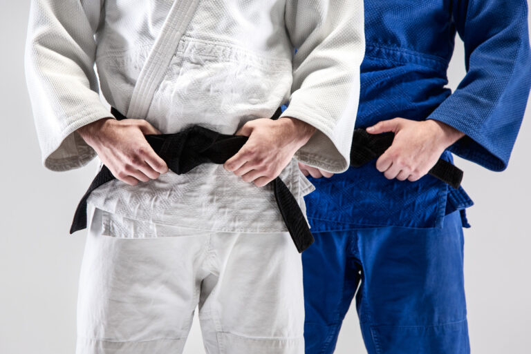 Which martial arts have belts